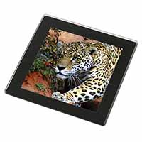 Jaguar Black Rim High Quality Glass Coaster