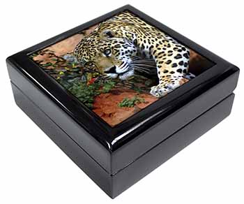 Jaguar Keepsake/Jewellery Box