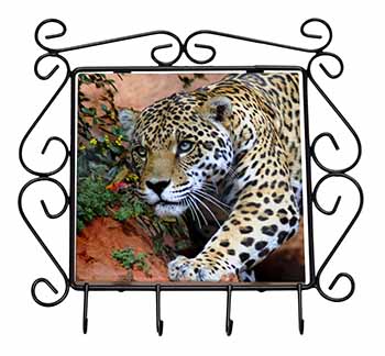 Jaguar Wrought Iron Key Holder Hooks