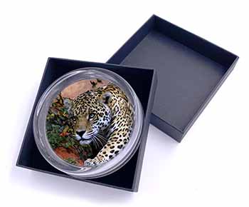 Jaguar Glass Paperweight in Gift Box