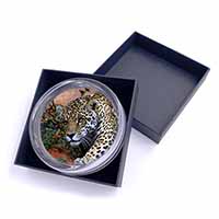 Jaguar Glass Paperweight in Gift Box