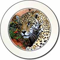 Jaguar Car or Van Permit Holder/Tax Disc Holder