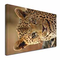 Leopard Canvas X-Large 30"x20" Wall Art Print