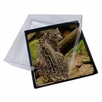 4x Gorgeous Snow Leopard Picture Table Coasters Set in Gift Box