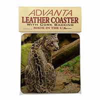 Gorgeous Snow Leopard Single Leather Photo Coaster