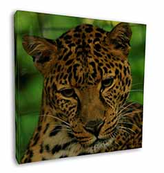 A Gorgeous Leopard 12"x12" Canvas Wall Art Picture Print