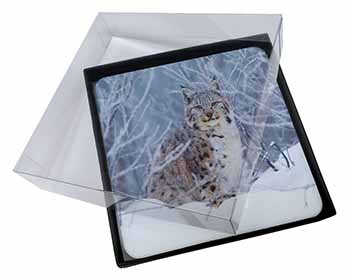 4x Wild Lynx in Snow Picture Table Coasters Set in Gift Box