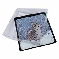 4x Wild Lynx in Snow Picture Table Coasters Set in Gift Box