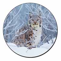 Wild Lynx in Snow Fridge Magnet Printed Full Colour