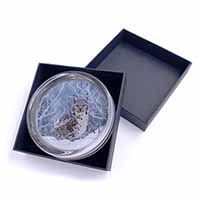 Wild Lynx in Snow Glass Paperweight in Gift Box