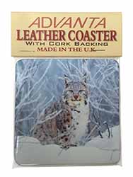Wild Lynx in Snow Single Leather Photo Coaster
