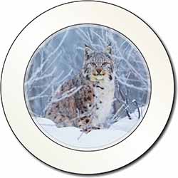 Wild Lynx in Snow Car or Van Permit Holder/Tax Disc Holder