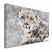 Snow Fall Leopard Canvas X-Large 30"x20" Wall Art Print