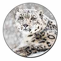 Snow Fall Leopard Fridge Magnet Printed Full Colour