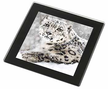 Snow Fall Leopard Black Rim High Quality Glass Coaster