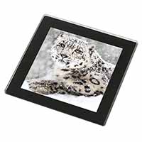 Snow Fall Leopard Black Rim High Quality Glass Coaster