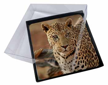 4x Leopard Picture Table Coasters Set in Gift Box