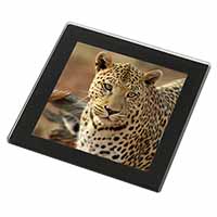 Leopard Black Rim High Quality Glass Coaster