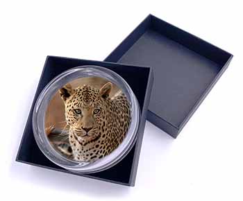 Leopard Glass Paperweight in Gift Box