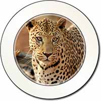 Leopard Car or Van Permit Holder/Tax Disc Holder