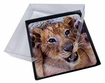 4x Cute Lion Cub Picture Table Coasters Set in Gift Box