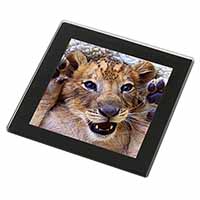 Cute Lion Cub Black Rim High Quality Glass Coaster