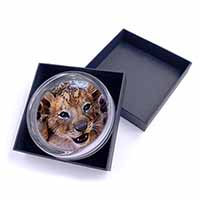 Cute Lion Cub Glass Paperweight in Gift Box
