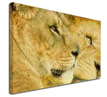 Lions in Love Canvas X-Large 30"x20" Wall Art Print
