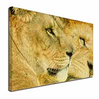 Lions in Love Canvas X-Large 30"x20" Wall Art Print