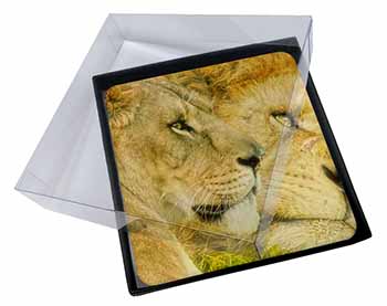 4x Lions in Love Picture Table Coasters Set in Gift Box
