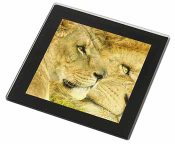 Lions in Love Black Rim High Quality Glass Coaster