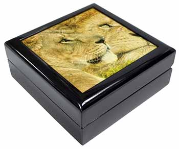 Lions in Love Keepsake/Jewellery Box