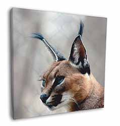 Lynx Caracal Square Canvas 12"x12" Wall Art Picture Print