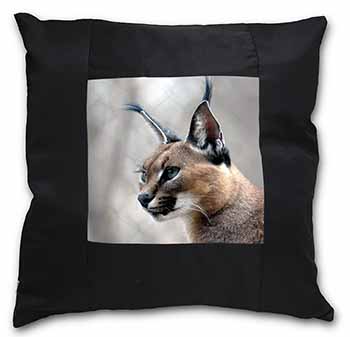 Lynx Caracal Black Satin Feel Scatter Cushion