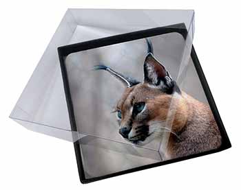 4x Lynx Caracal Picture Table Coasters Set in Gift Box