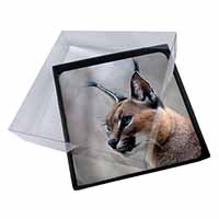 4x Lynx Caracal Picture Table Coasters Set in Gift Box