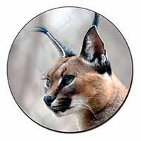 Lynx Caracal Fridge Magnet Printed Full Colour