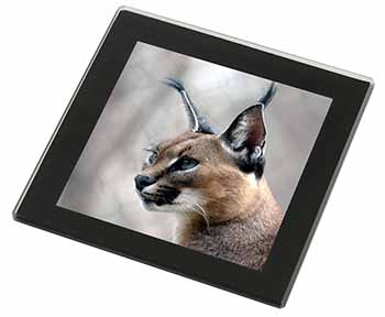 Lynx Caracal Black Rim High Quality Glass Coaster