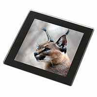 Lynx Caracal Black Rim High Quality Glass Coaster