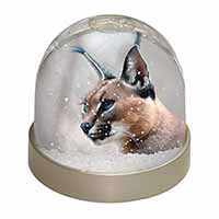 Lynx Caracal Snow Globe Photo Waterball