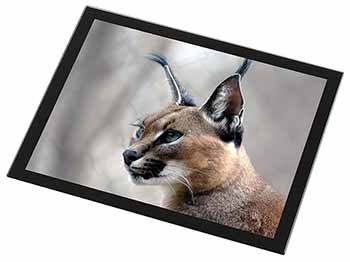 Lynx Caracal Black Rim High Quality Glass Placemat