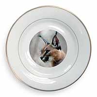 Lynx Caracal Gold Rim Plate Printed Full Colour in Gift Box