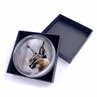 Lynx Caracal Glass Paperweight in Gift Box