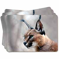 Lynx Caracal Picture Placemats in Gift Box