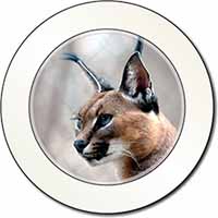 Lynx Caracal Car or Van Permit Holder/Tax Disc Holder