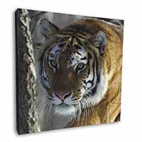 Tiger in Snow Square Canvas 12"x12" Wall Art Picture Print