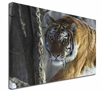 Tiger in Snow Canvas X-Large 30"x20" Wall Art Print