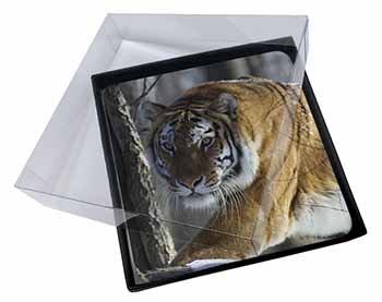 4x Tiger in Snow Picture Table Coasters Set in Gift Box