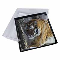 4x Tiger in Snow Picture Table Coasters Set in Gift Box - Advanta Group®