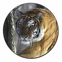 Tiger in Snow Fridge Magnet Printed Full Colour